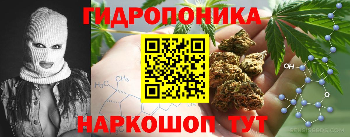 Бошки Шишки OG Kush  Конопля планчик  Каннабис ГИДРОПОН  Вход с VPN  Лесной  Каннабис LSD WEED 